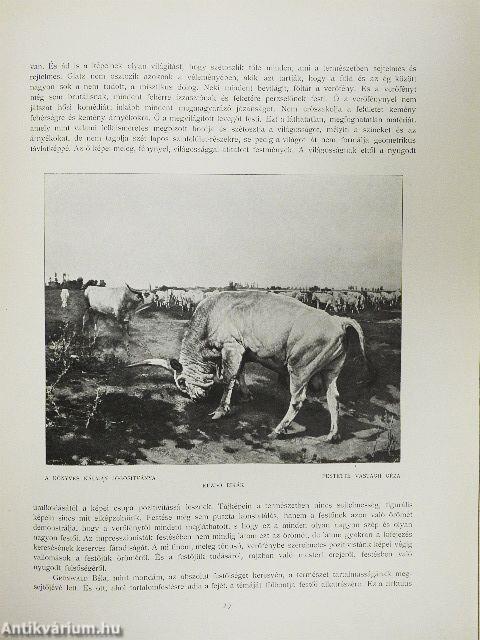 Modern magyar festőművészek