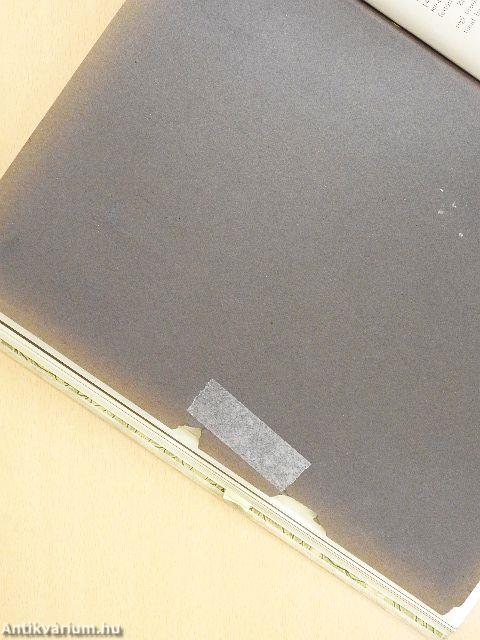 A magyar festőművészet albuma