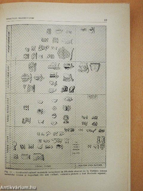 Neoliticul Transilvaniei