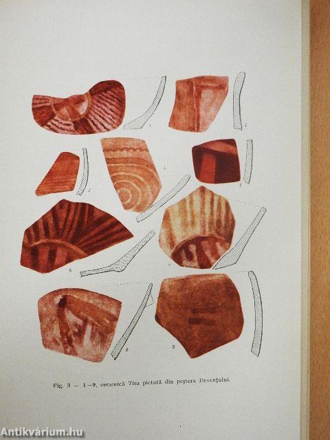 Neoliticul Transilvaniei