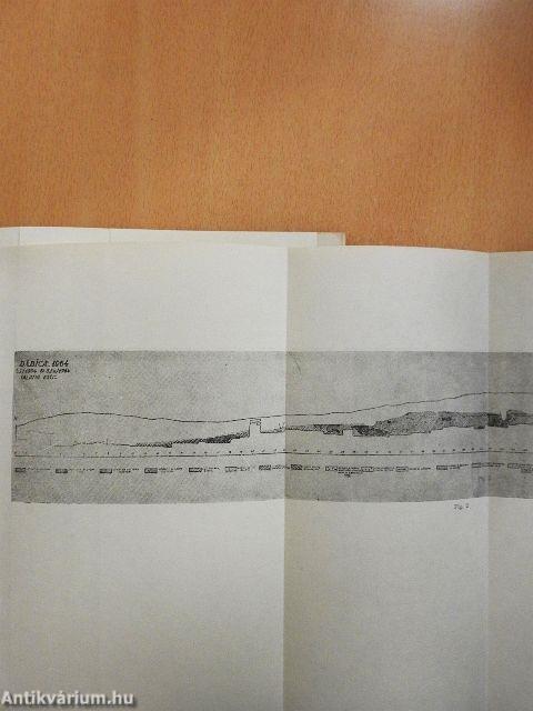 Neoliticul Transilvaniei