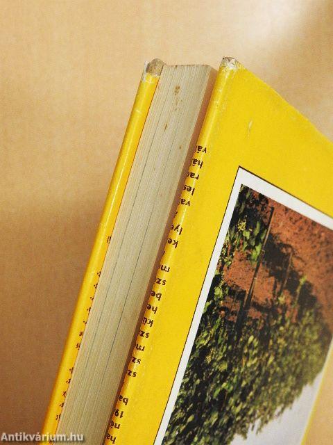 A szőlő metszése, fitotechnikai műveletei