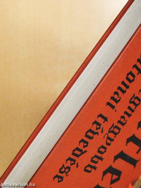 Hitler legnagyobb katonai tévedése