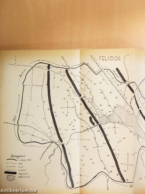 Magyar népnyelv II.