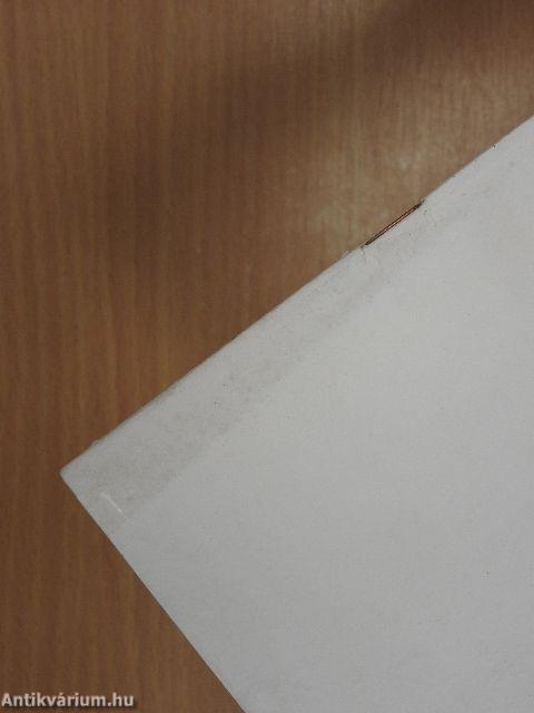 Kísérlet a túlélésre