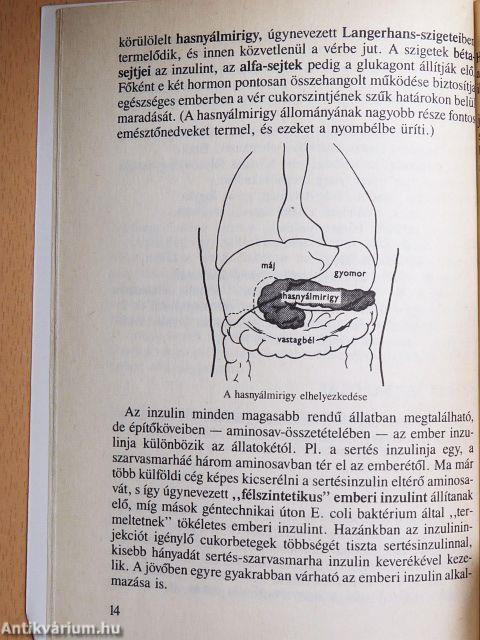 Cukorbajról cukorbetegeknek