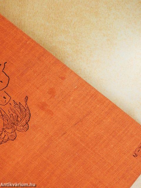 Sivatagon és vadonban