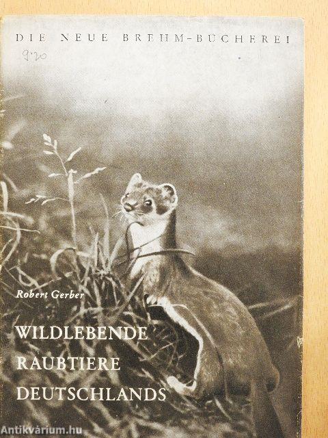 Die Wildlebenden Raubtiere Deutschlands