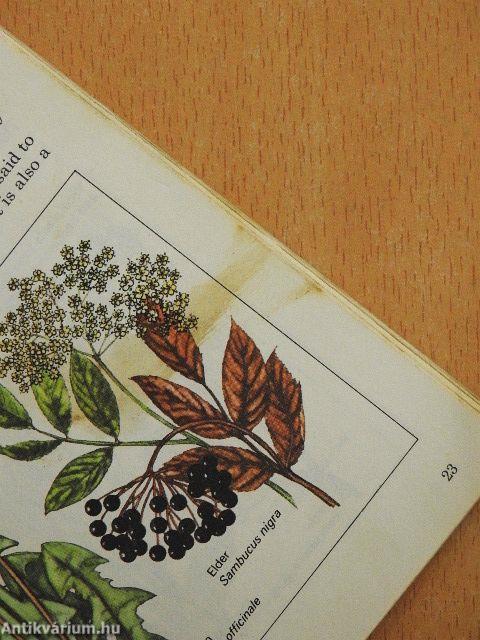 Handbook of Country Crafts