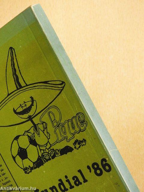 Gól volt, gól nem volt...