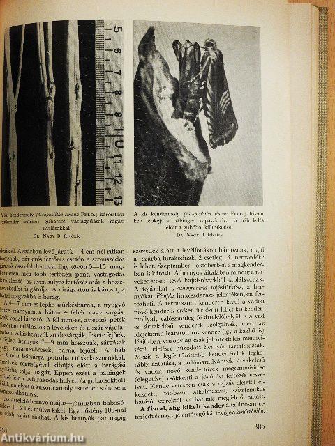 Növényvédelmi enciklopédia I.