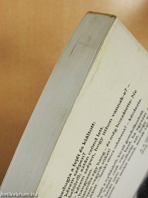 Hogyan lettem senki?