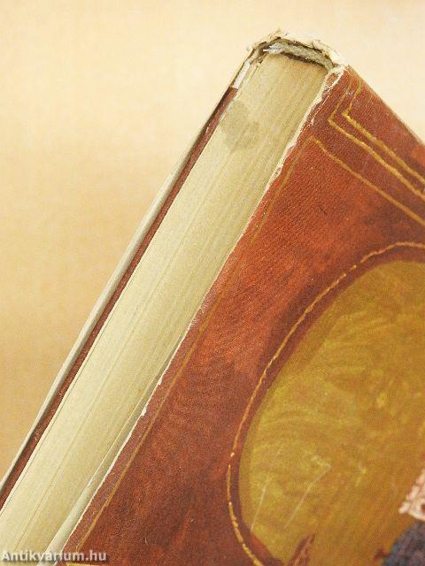 A hiúz a napba néz