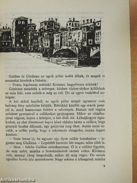 A hiúz a napba néz