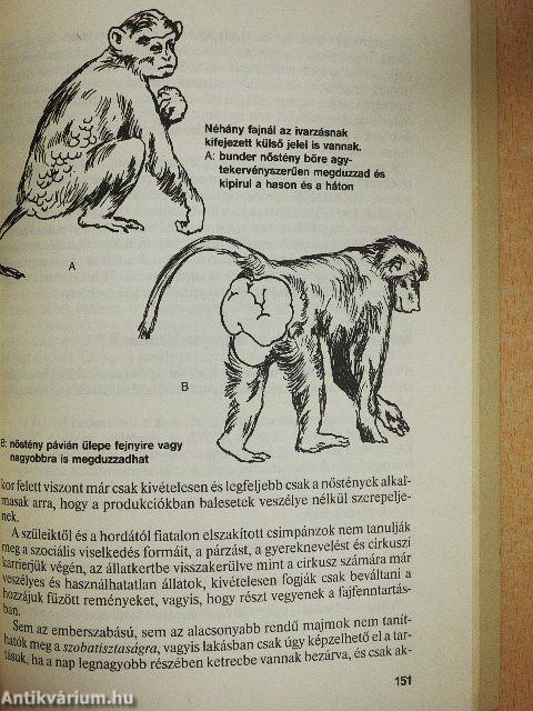 Állatkedvencek tartása és gyógyítása