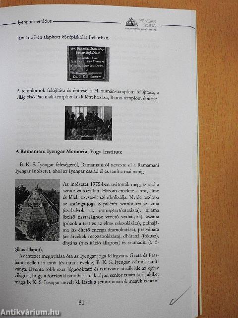Tradicionális jógaiskolák Magyarországon I.