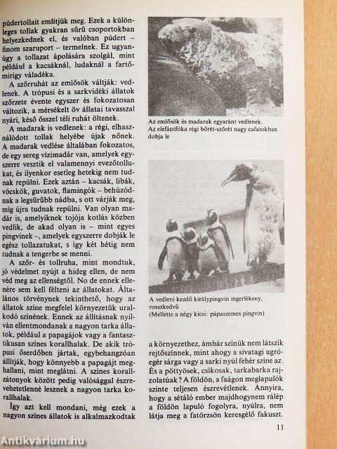 Érdekes állatvilág