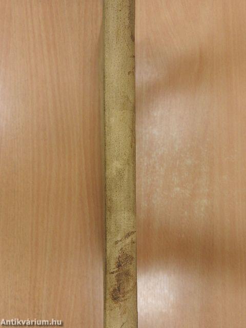 A magyar nép multja és jelene I. - Ügynöki mintapéldány