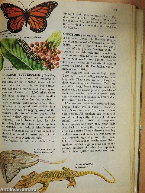 The Hamlyn Children's Animal World Encyclopedia in colour