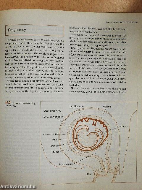 Biology: The Science of Life