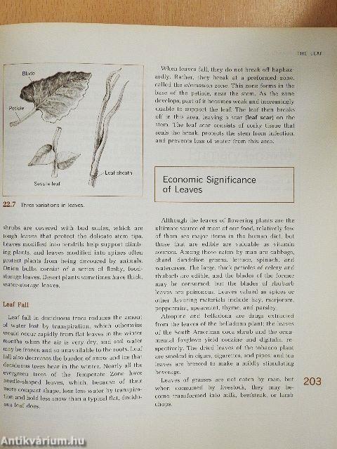 Biology: The Science of Life