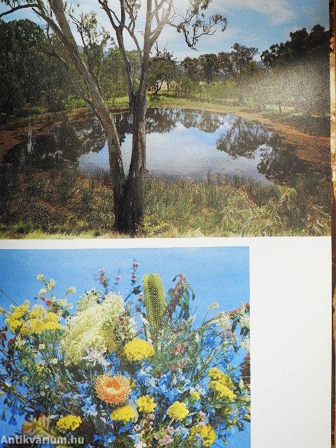 The Beauty of Australia