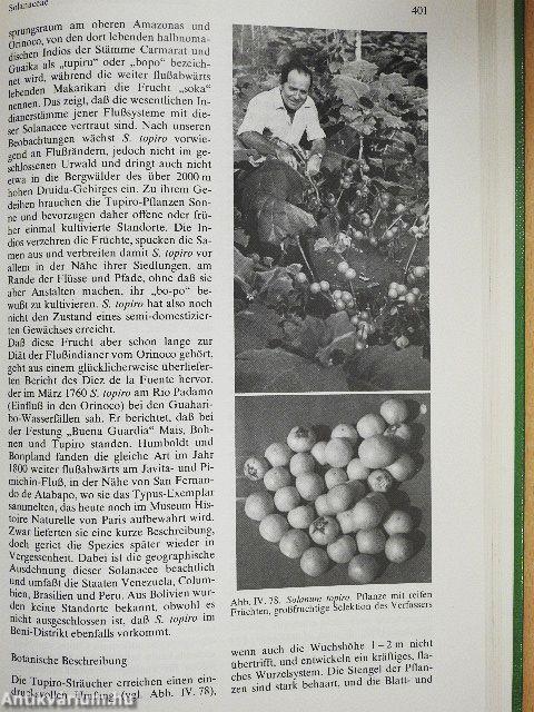 Tropische Nutzpflanzen