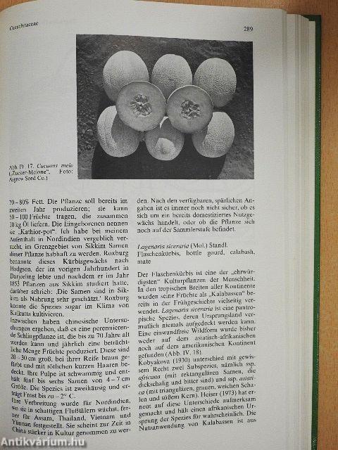 Tropische Nutzpflanzen