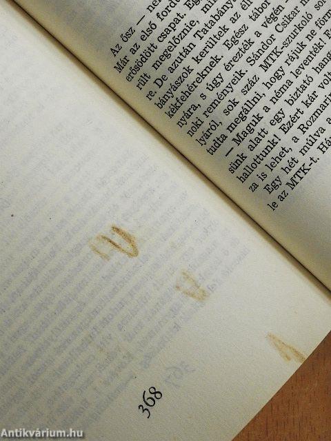 Labdarúgó-bajnokságaink 1901-1969