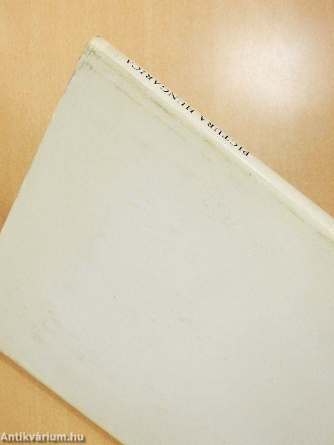 Pictura Hungarica I.