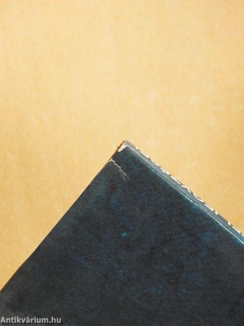 Egy festő feljegyzései