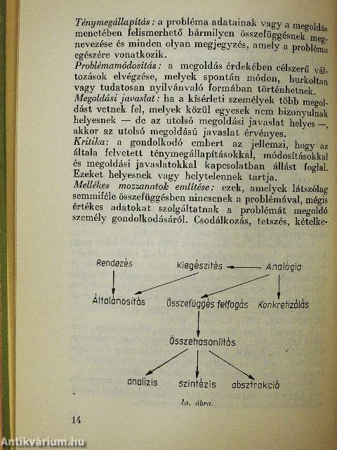 Az óvodás korú gyermekek gondolkodási sajátosságai