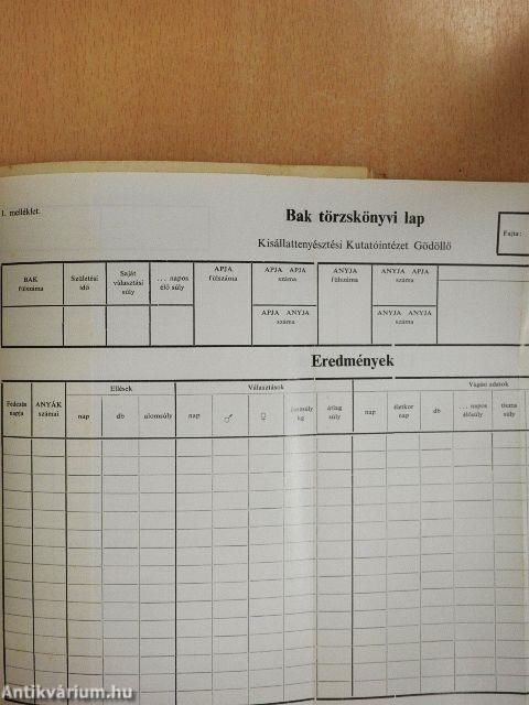 Jövedelmező nyúltenyésztés