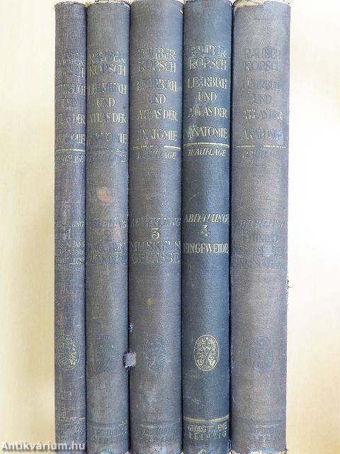 Lehrbuch und Atlas der Anatomie des Menschen 1-6.