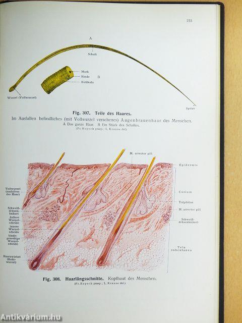 Lehrbuch und Atlas der Anatomie des Menschen 1-6.