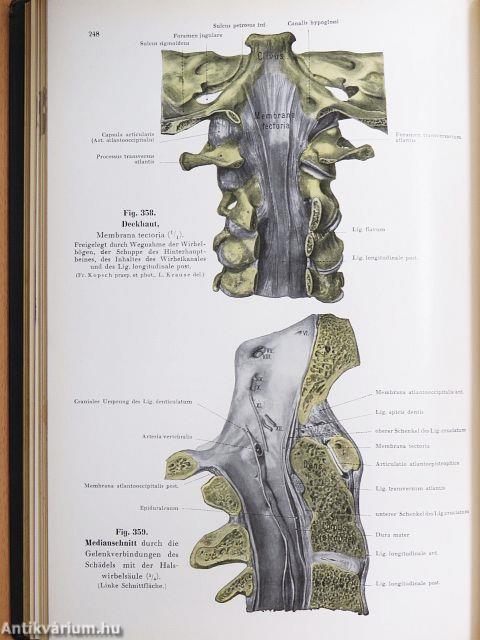 Lehrbuch und Atlas der Anatomie des Menschen 1-6.