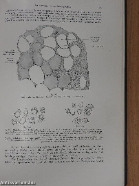 Lehrbuch und Atlas der Anatomie des Menschen 1-6.