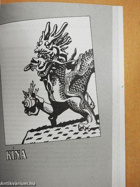 Kultúra, viselkedés, kommunikáció