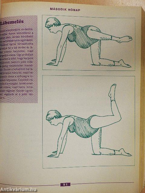 A terhesség mindentudó nagykönyve