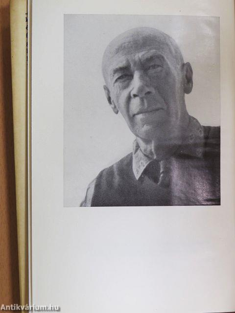 A légkondicionált lidércnyomás