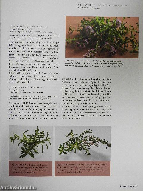 Mártások és fűszerek