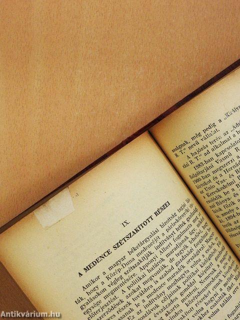 A Közép-Dunamedence közgazdasága