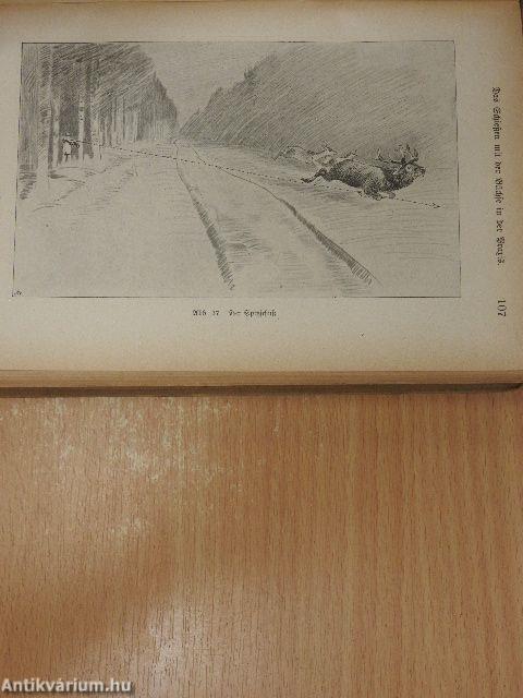 Die Kunst des Schiessens mit der Büchse (gótbetűs)