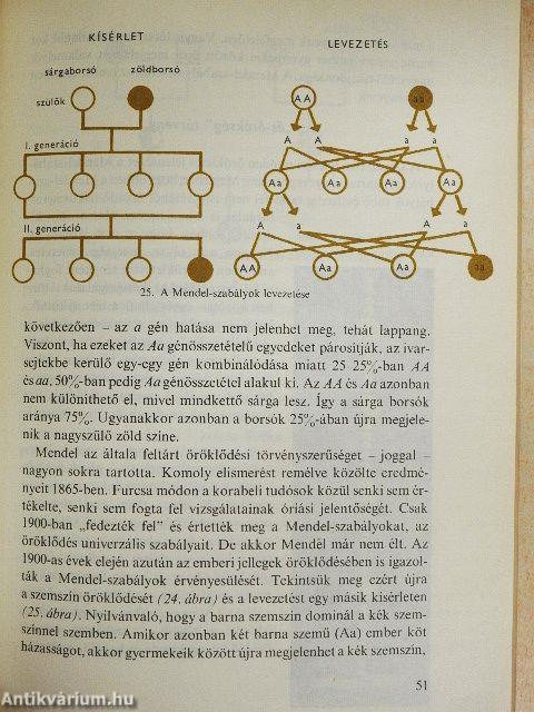 Az öröklődés titkai