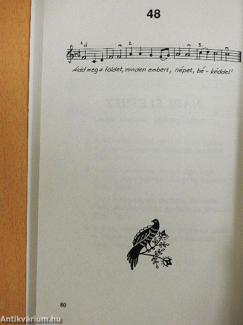 Csillagoknak teremtője