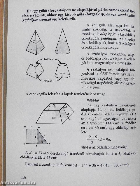 Érettségi - matematika