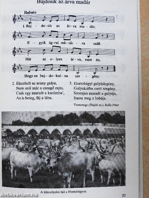 Ének-zene 8.