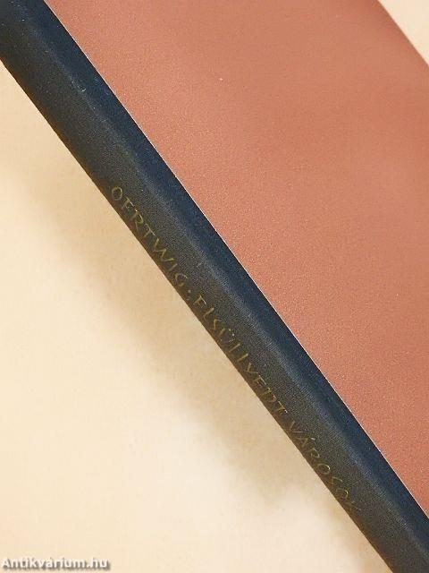 Elsüllyedt városok