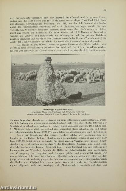 Juhtenyésztés