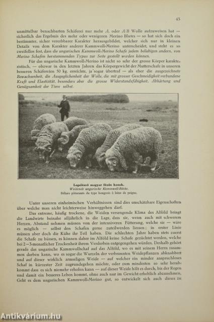 Juhtenyésztés